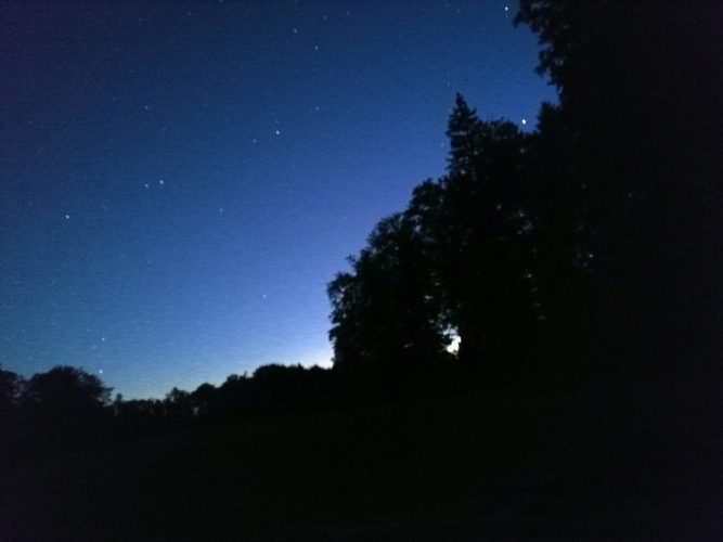WaldAtemNacht2